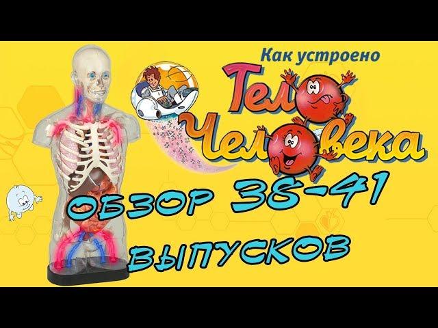 Как устроено тело человека | DeAgostini | 38-41 выпуски