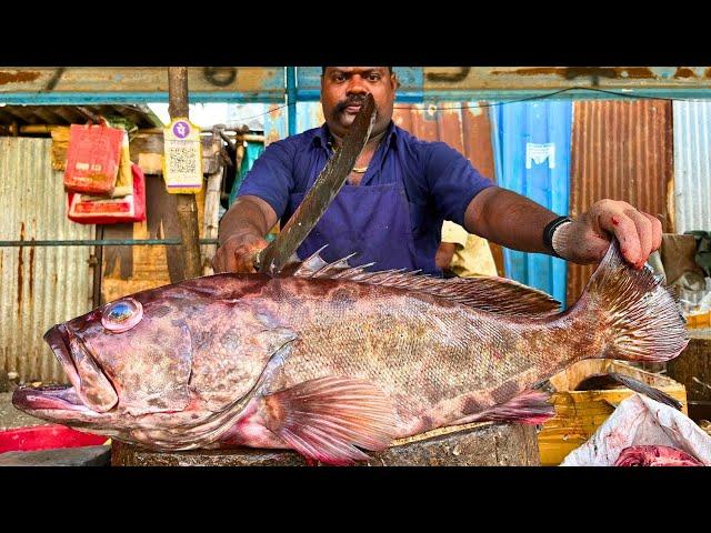 KASIMEDU  SPEED SELVAM | BROWN GROUPER FISH CUTTING VIDEO | IN KASIMEDU | FF CUTTING 