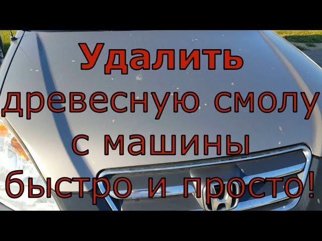 Удалить древесную смолу с машины просто! / how to remove tar from your car