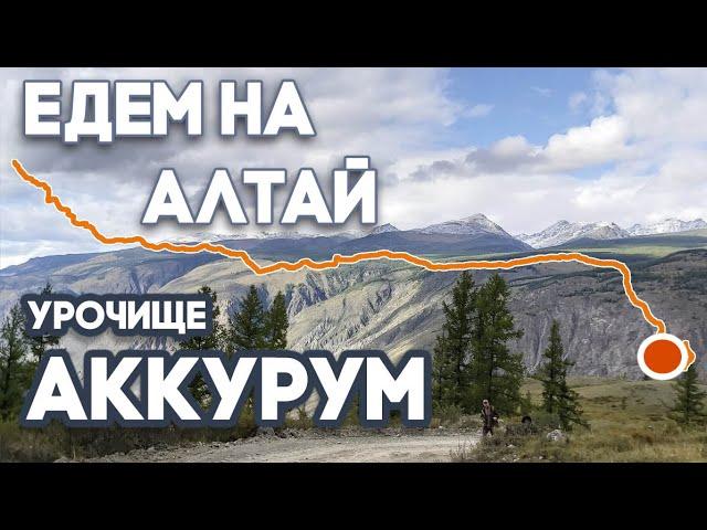 Едем на Алтай. Акташ - Кату-Ярык - Урочище Аккурум.