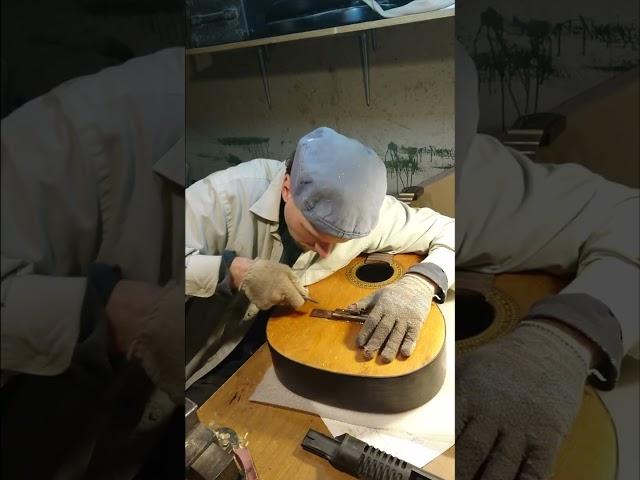 The Final Episode Of Bridge Glueing #vintageguitar #woodworking  #guitarrepair #guitar
