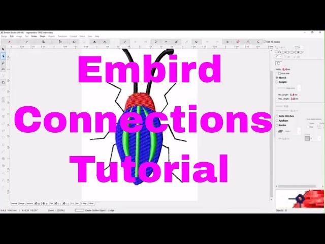 Embird Studio Tutorial:  How to make Beginner Embroidery Connections