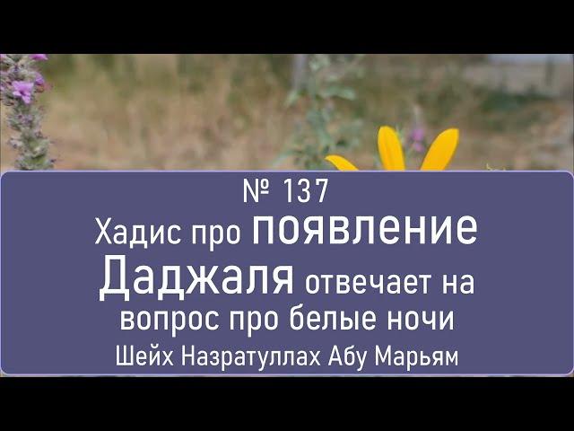 Хадис про появление Даджаля отвечает на вопрос про белые ночи