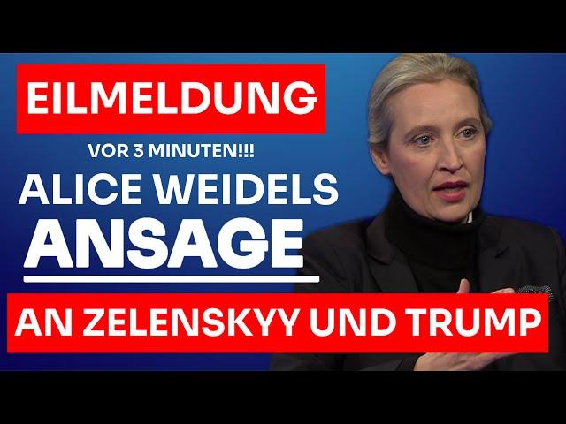 EILMELDUNG: ALICE WEIDELS ANSAGE VOLODYMYR ZELENSKYY UND DONALD TRUMP!!!