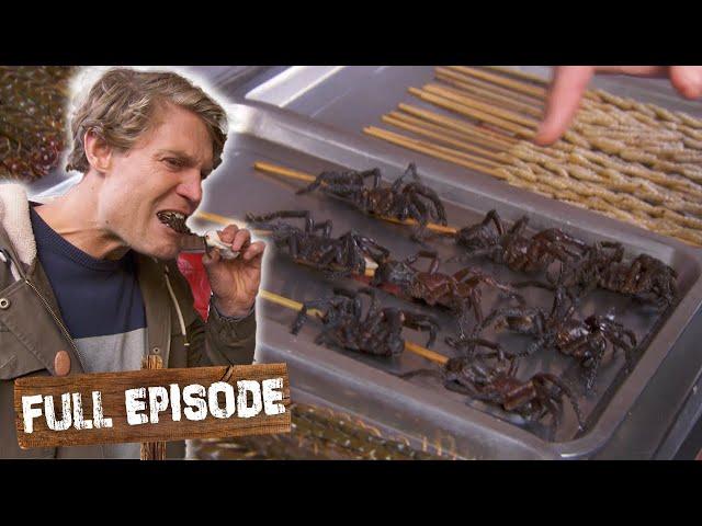 Trying Fried Spiders In China!  | Travels With The Bondi Vet S03 E08 | Untamed