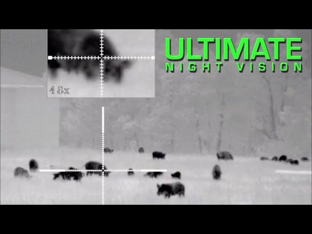 45 Hogs Down | Hog Hunting with the Pulsar Trail XP38 and XP50 Thermal Scopes