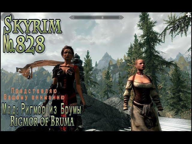 Skyrim s 828 Довакин Курьер