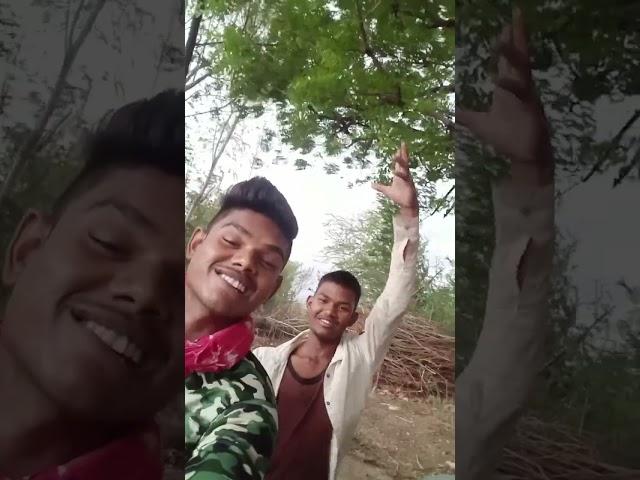 video viral video viral