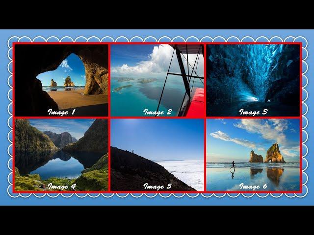 How to Insert Multiple Pictures in a Table a Frame in PowerPoint 2021