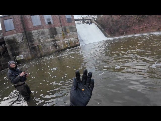 Crushing Spillway Trout on Jigs and Falling into the Water!