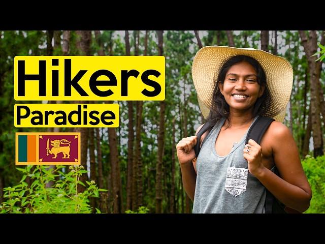 The Knuckles Mountain Range in Sri Lanka