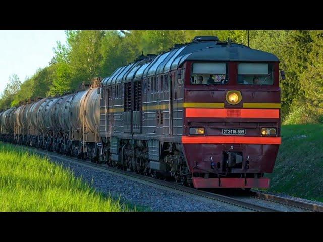 [LDz] Тепловоз 2ТЭ116-559 с цистернами / LDz 2TE116-559 with tank cars