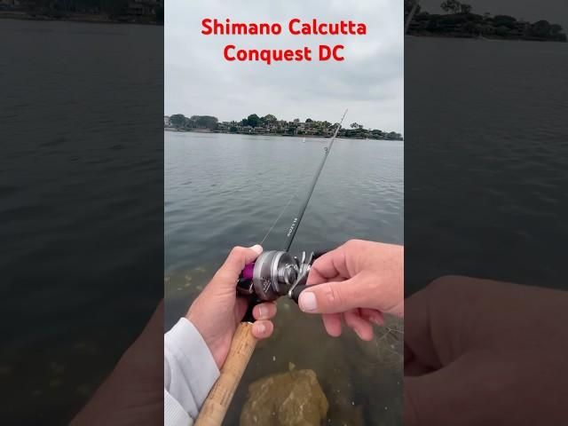 Spotted Bay Bass on the Shimano Calcutta Conquest DC (AKA Prometheus)