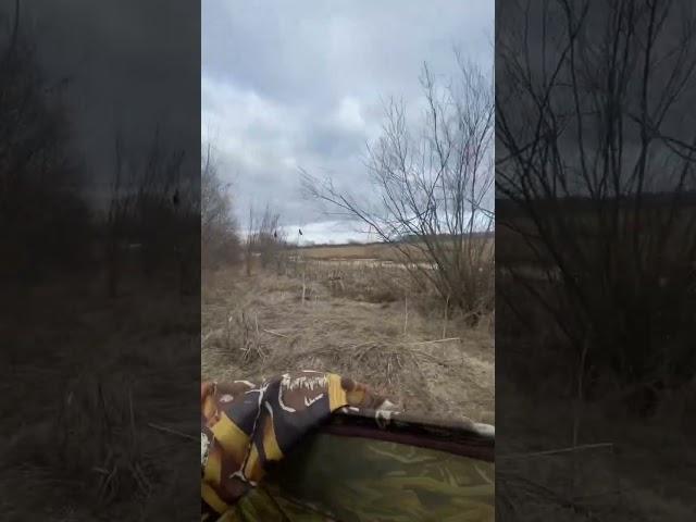 Весенняя охота
