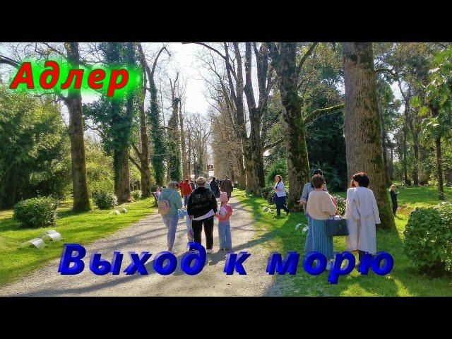 Парк Южные Культуры в Адлере сегодня/  Выход к морю