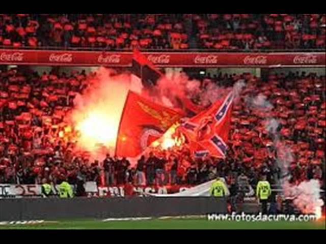 Benfica- Canticos NN Boys.wmv