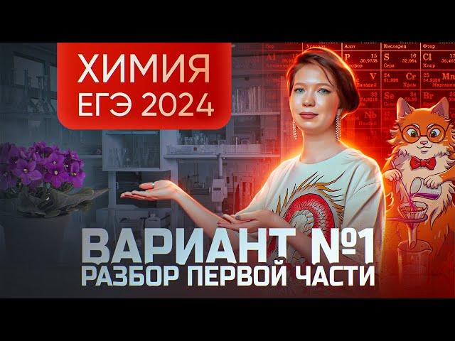 Разбор варианта №1 ЕГЭ по химии 2024 | Дацук Екатерина