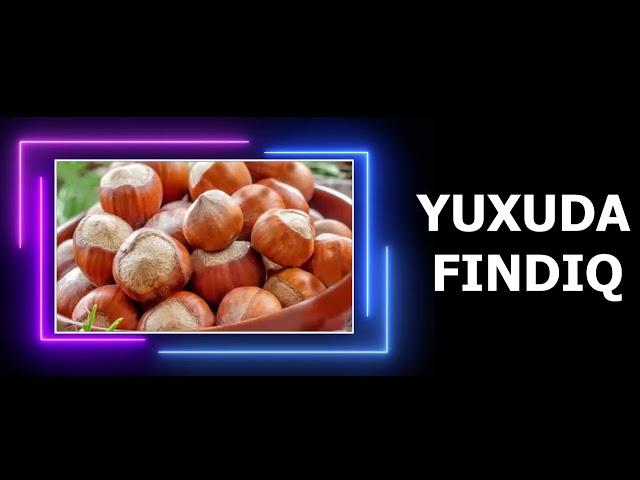 FINDIQ YUXU YOZMA - YUXUDA FİNDİQ GORMEK