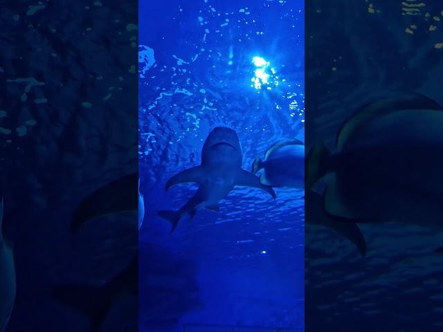 Aqua ZOO Tropicarium Hungary 
