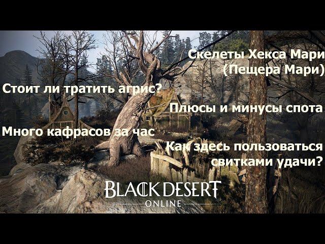 BDO Гайд Пещера Мари. Новая механика свитков удачи. Фарм серебра для новичков. Топ спот без агриса?