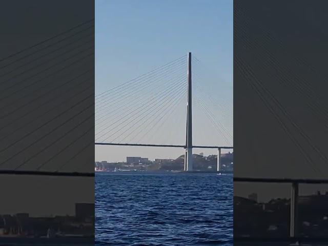 мост на остров Русский, Русский мост, Владивосток