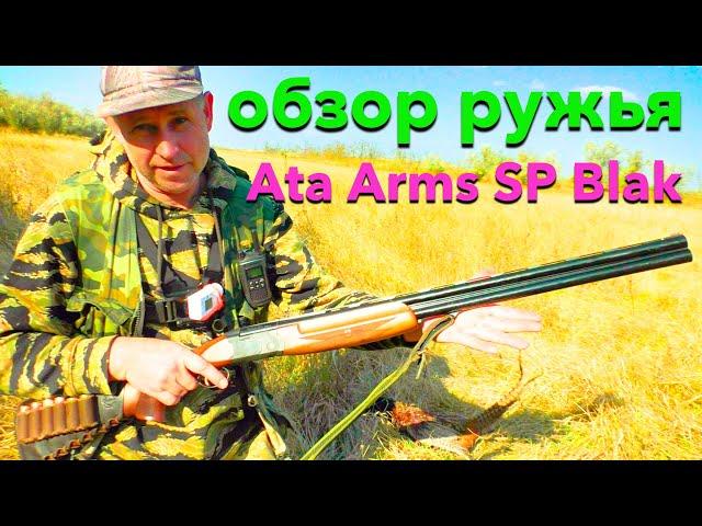 ОХОТА НА ФАЗАНА!!! Фазан наш!  Обзор ружья     Ata Arms SP Blak            на природе!