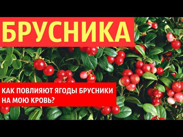 Как БРУСНИКА повлияла на мою кровь