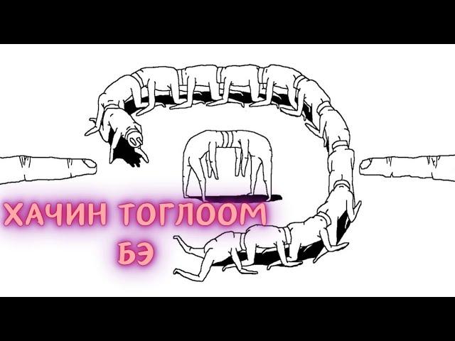 Хачин тоглоом гэж бодсон биш байжээ - Plug and Play