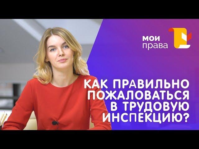 Как обратиться в трудовую инспекцию? / Консультация юриста / МОИ ПРАВА