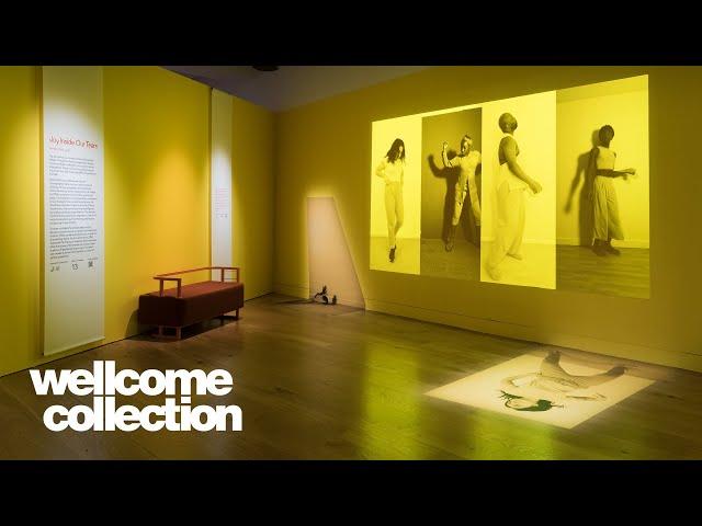 Exhibition highlights | 'Joy' curator tour | Wellcome Collection