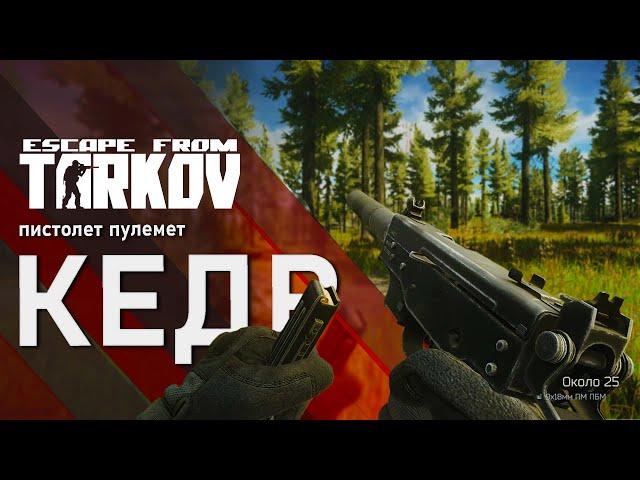 Пистолет пулемет Кедр в игре Escape from Tarkov