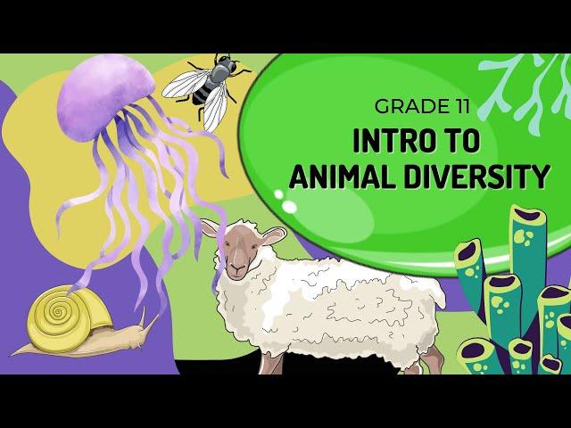 Animal Diversity