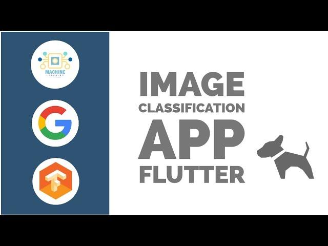 Image Classification App in Flutter | Image Recognition | Google Teachable Machine | CodeStudio