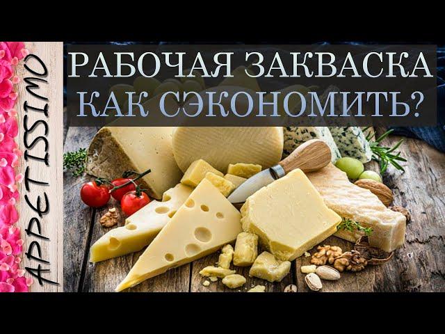 РАБОЧАЯ ЗАКВАСКА ДЛЯ СЫРА: плюсы и минусы  Как сэкономить на закваске в сыроделии