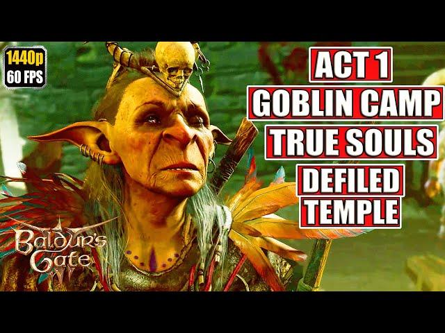 Baldur's Gate 3 Gameplay Walkthrough [Full Game PC - Act 1 - Goblin Camp - Defiled Temple] No Commen