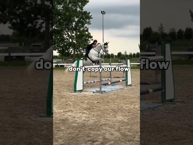 like- #fypシ゚ #showjumpers #horse