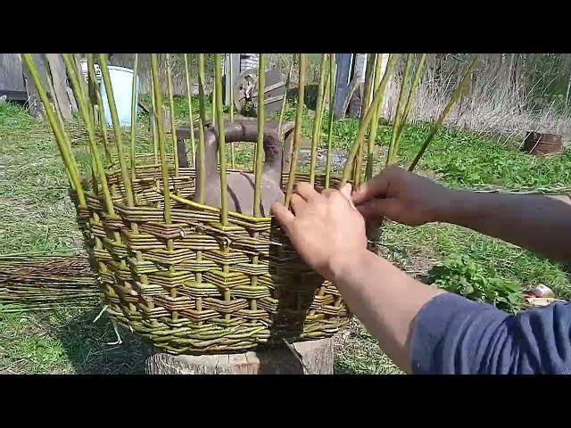 Плетение ивовой хозяйственной корзины / Weaving Willow Utility Basket