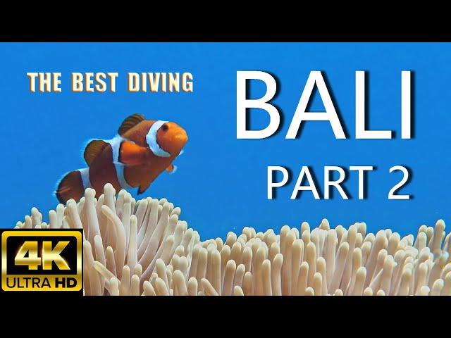 4K THE BEST DIVING IN BALI / TULAMBEN / PART 2 / Relax music / 2022 /