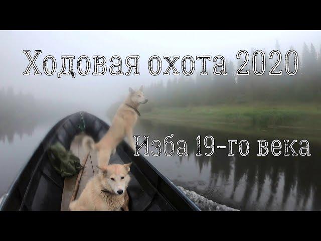 ходовая охота 2020,открытие охоты.