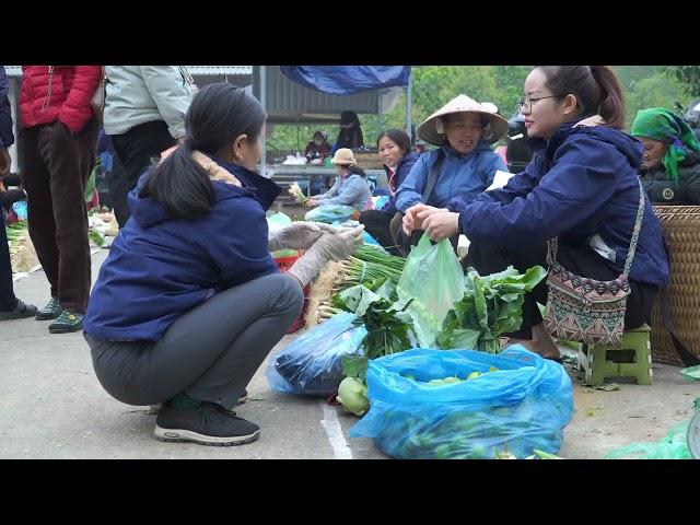 Harvest cauliflower and tomatoes to sell at the market, cook baby squash