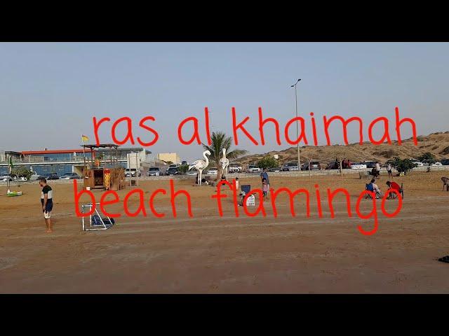 flamingo beach in ras al khaimah # rasalkhaimahbeach#flamingobeach#yasinmsd