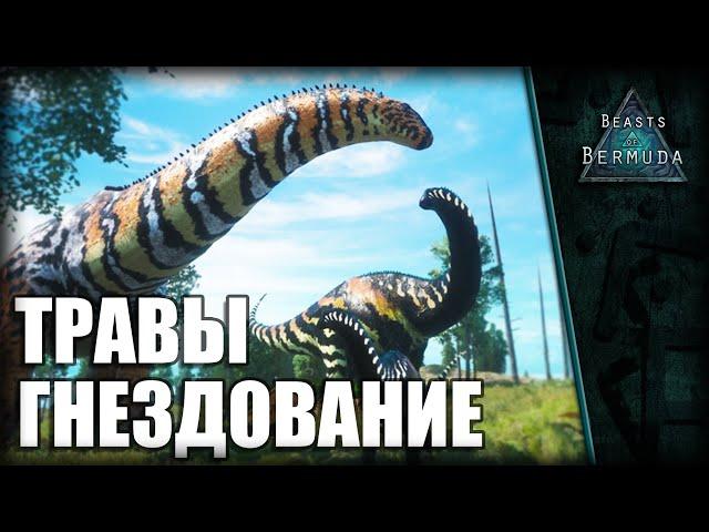 ТРАВЫ + ДЕТАЛИ = ГНЕЗДОВАНИЕ | BEASTS OF BERMUDA