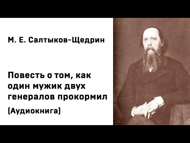 М  Е  Салтыков Щедрин Повесть о том, как один мужик двух генералов прокормил Аудиокнига Слушать Онла