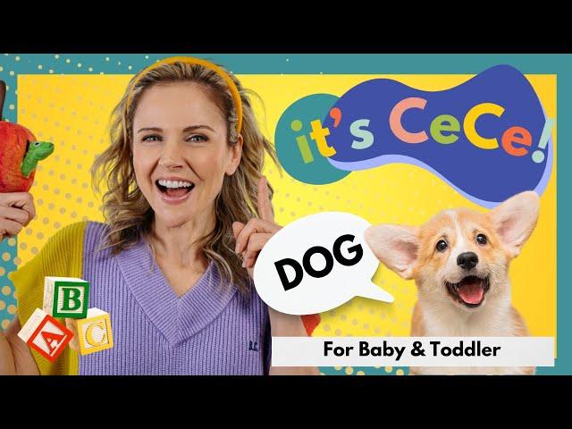 Best Toddler Videos |Learn to Talk and Sign with CeCe! Let's Learn About Dogs I For Baby & Toddler