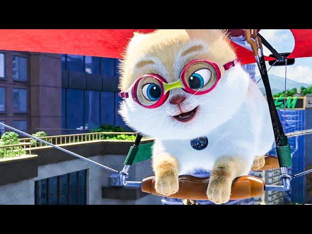 CATS Trailer (2020)