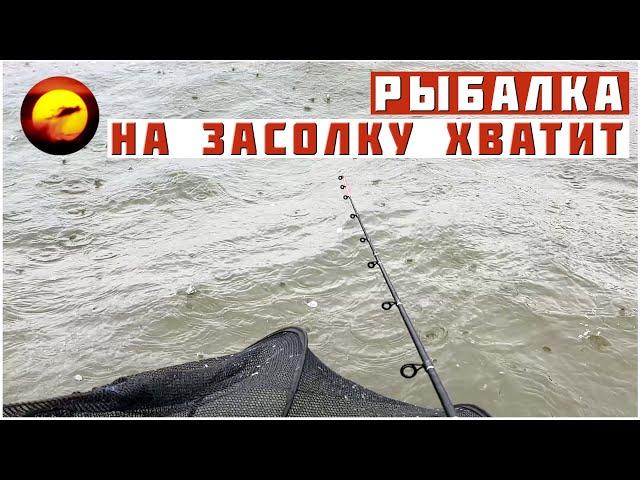 Рыбалка! КРАСОТА ПО-АСТРАХАНСКИ / Ловлю Рыбу для Засолки