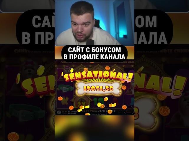 Maksone Поймал хороший занос в THE DOG HOUSE на 9 СПИНАХ ! #crazytime #занос #казино #нарезки