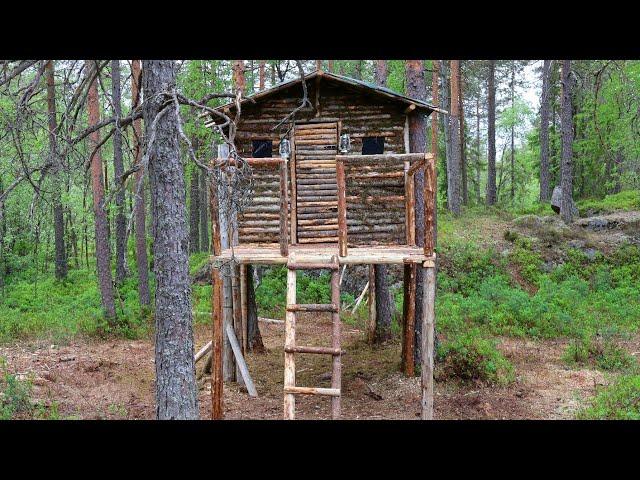 Solo Overnight at the Treehouse - Bushcraft Axe Skills, Chaga Drink, Quail Skewers