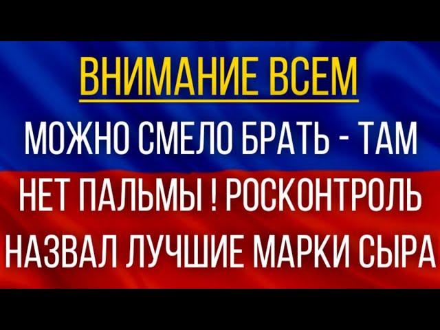 Можно смело брать – там нет пальмы!  Росконтроль назвал лучшие марки сыра!