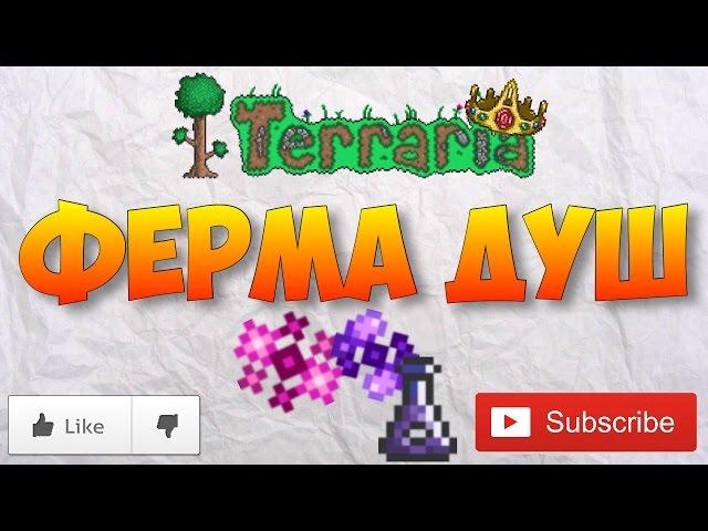 Ферма душ света и ночи | Terraria